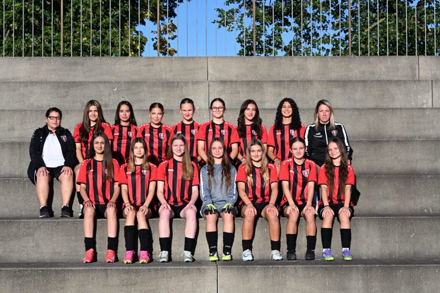 88e69da3-3113-49b6-8395-9c1057a9fc8e