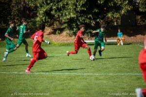 Image-37