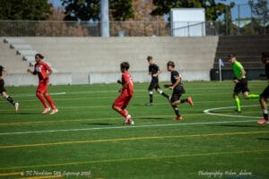 Image-428