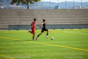 Image-431